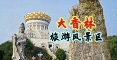 亚奶最新进入网址视频中国浙江-绍兴大香林旅游风景区